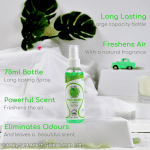 Goodiz Fresh Air Freshener Spray AFS01 Long Lasting